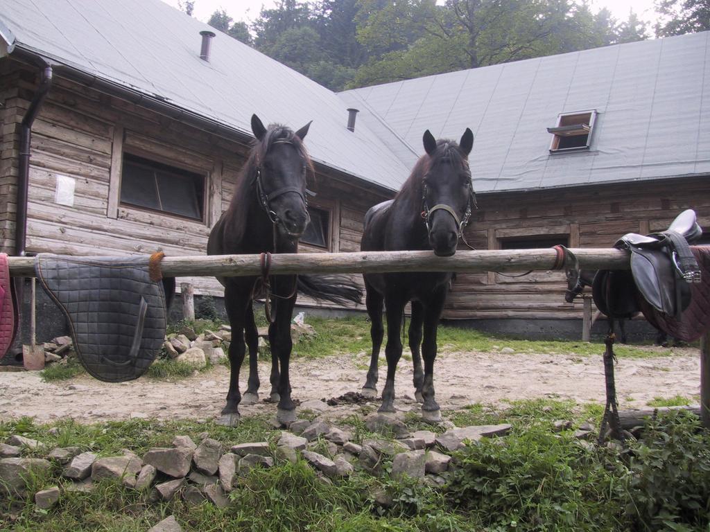 Osrodek Beskid Fizjo & Spa Korbielow Luaran gambar