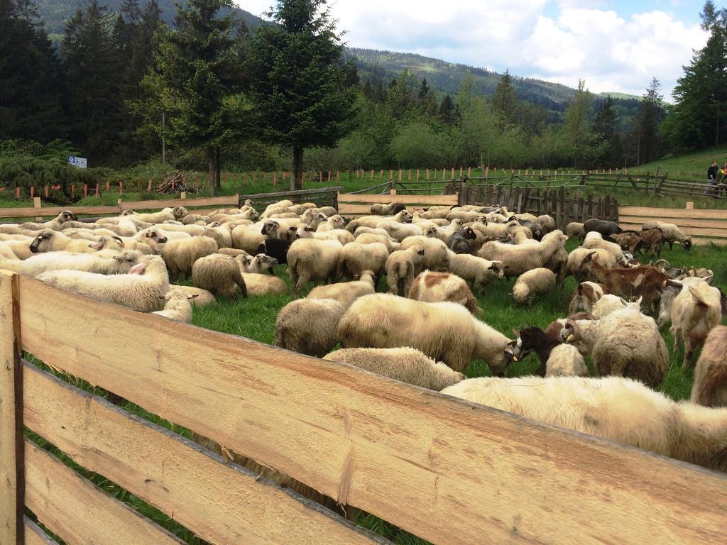 Osrodek Beskid Fizjo & Spa Korbielow Luaran gambar